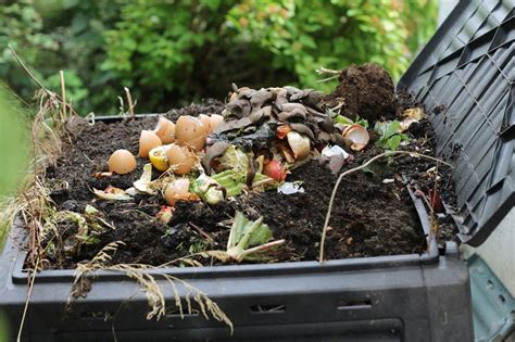 compost heap   garden horticulture