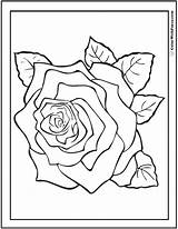 Rose Coloring Pages Flower Spring Printable Pdf Kids Printables Colorwithfuzzy sketch template