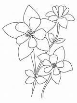 Columbine Coloring Flower Pages Flowers Template Designlooter Getdrawings Drawing sketch template