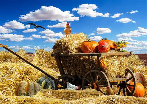 thanksgiving fall pumpkin harvest september mels   jigsaw