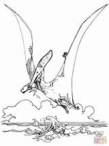 Ausmalbilder Pteranodon Flugsaurier Pterosaur sketch template