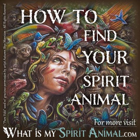 find  spirit animal  complete guide