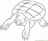 Snapping Turtle Coloring Pages Animals Coloringpages101 Turtles Color Kids Printable Reptiles Online sketch template