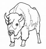 Bison Coloring Pages Animal Bill Printable Buffalo Kids Bullet Coloriage Animaux Colorier Nord Imprimer Bills Color Getcolorings Print Dessins Rocks sketch template
