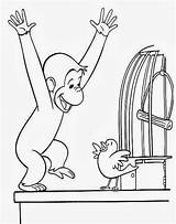 Kartun Mewarnai Tokoh Curious Monyet Lucu Pintar sketch template