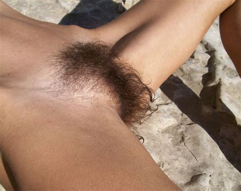 french hairy pussy hairy pussy adult pictures