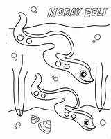 Eel Coloring Moray Cute Pages Eels Electric Color Getcolorings Animal 56kb 300px Luna sketch template