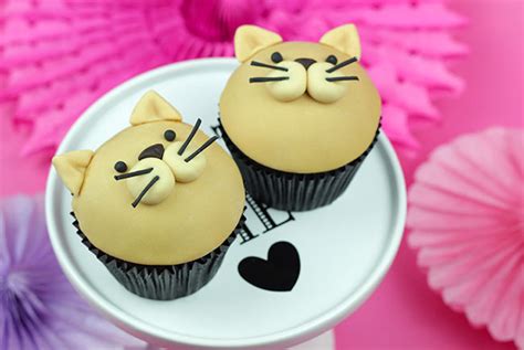 cat cupcakes cakey goodness