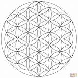 Coloring Flower Life Mandala Pages Printable Drawing sketch template