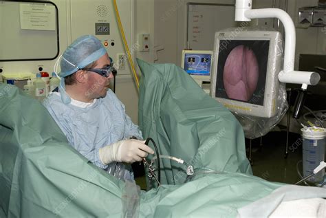 Endoscopic Prostate Surgery Stock Image M440 0212 Science Photo