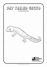 Gecko Tailed sketch template