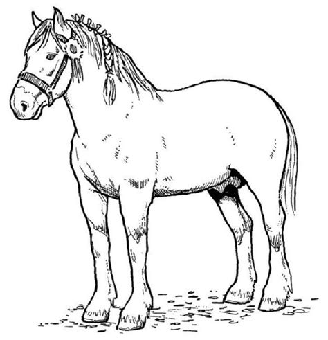 colouring pictures   horse clip art library