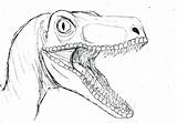 Velociraptor Raptor Coloring sketch template