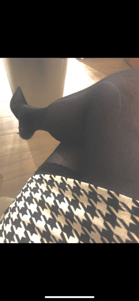 nylon couple on twitter sexy stiletto s and seamed black nylons ♥️