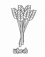 Wheat Harvest Grains Corn sketch template