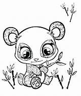 Coloring Panda Pages Anime Getcolorings Cute Printable sketch template