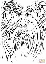 Coloring Dwarf Portrait Pages sketch template