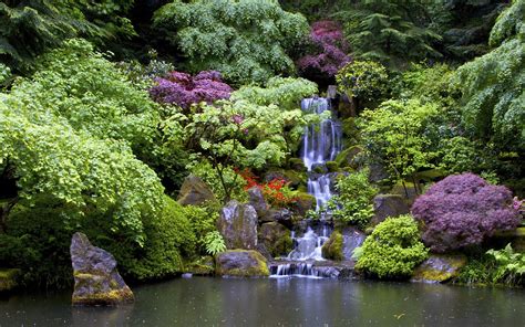 artificial waterfall   beautiful garden wallpaper nature