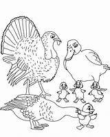 Duckling Ugly Coloring Pages Index Print sketch template