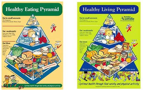 healthy food pyramid updated    time   years nz herald