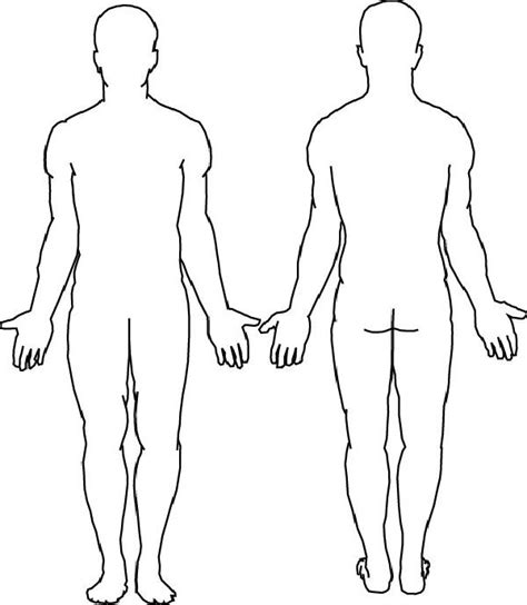 body assessment tips   active human body diagram body