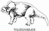 Protoceratops Dinosaure Colorier sketch template