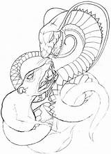 Mongoose Coloring Pages Results Cobra sketch template