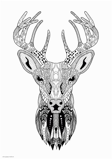 santas reindeer coloring page  adult christmas deer pictures
