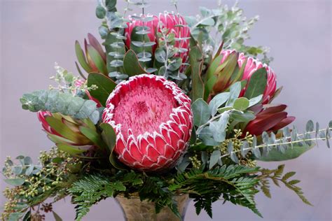 protea mix sf   claremont ca sherwood florist uniqueart gallery
