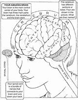 Nervous Dover Spine Psychology Psu Humano sketch template