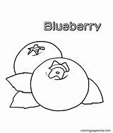 Blueberry Pages sketch template