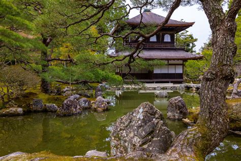 japanese garden   temple   pond  stock photo
