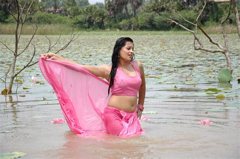 Indian Hot Actress Roopa Kaur Sexy N Spicy Hot Pics In Wet Pink Saree