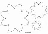 Flower Coloring Petal Petals Pages Flowers Daisy Tracing Drawing Clipartbest Getcolorings Getdrawings Clipart sketch template