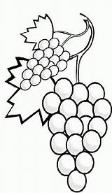 Buah Anggur Mewarnai Buahan Sketsa Mewarna Uva Grapes Colorir Berguna Kolase Himpunan Buku Mudah Tk Lukisan Dapatkan Perolehi Cepat Halaman sketch template
