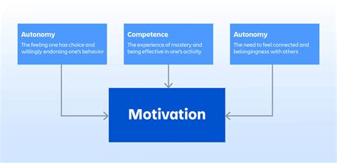 evaluate  usefulness   motivation theory  managers