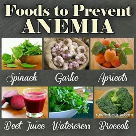 anemia  symptoms foods  cure iron deficiency hubpages