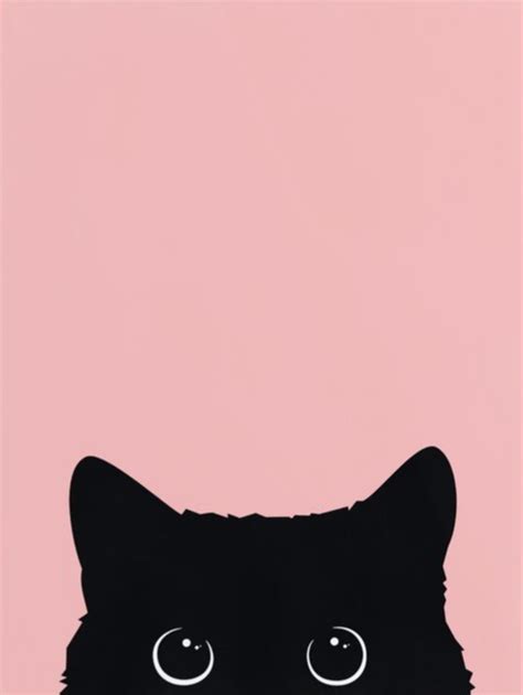 Aesthetic Cat Wallpapers Top Free Aesthetic Cat