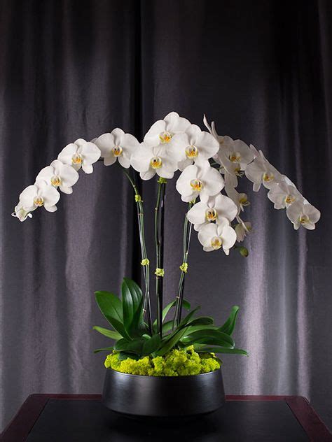 32 Orchid Flower Arrangements Ideas Flower Arrangements Orchid
