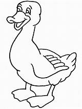 Duck Coloring Pages Daffy Kids sketch template