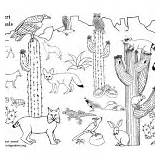 Desert Animals Coloring Habitats Biomes American Category Prairie Rainforest sketch template
