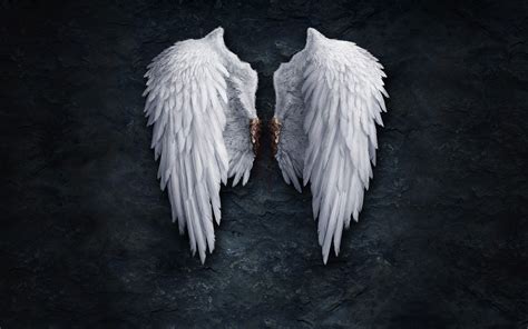 anime angel wings hd image pixelstalk