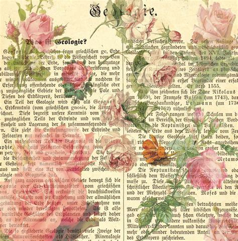 book  pink roses     word love  written  english