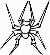 Spider Pages Widow Spinne Spiders Bestcoloringpagesforkids Ausmalbilder Sheets Ausmalbild Spinnen sketch template