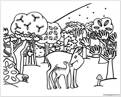 woodland animals coloring page  printable coloring pages