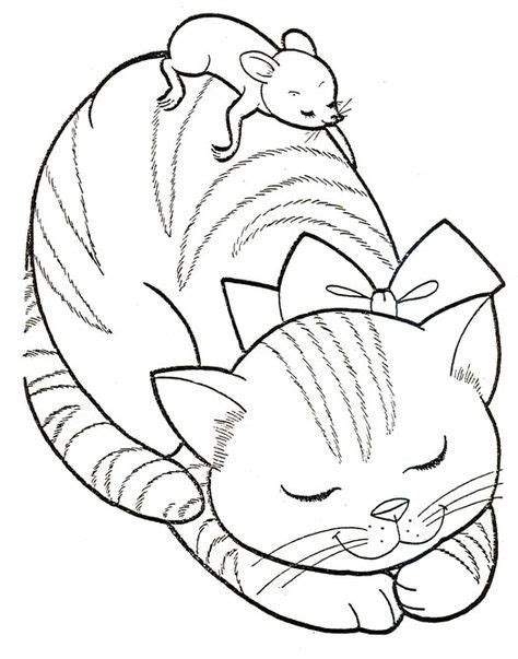catcoloring click image   cat color animal coloring pages