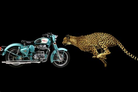 motorbike  cheetah   win motofiches