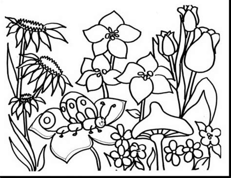 flower garden coloring pages  ideas  print coloringfoldercom