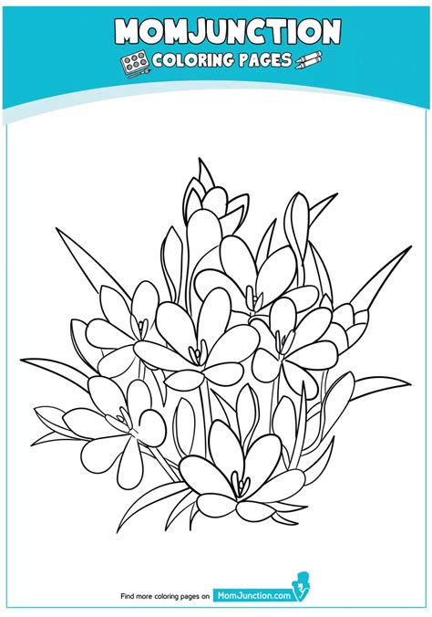 flowers coloring page momjunction subeloa