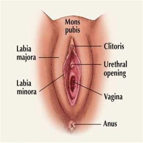 Partial sex change lower genitals only non gender change